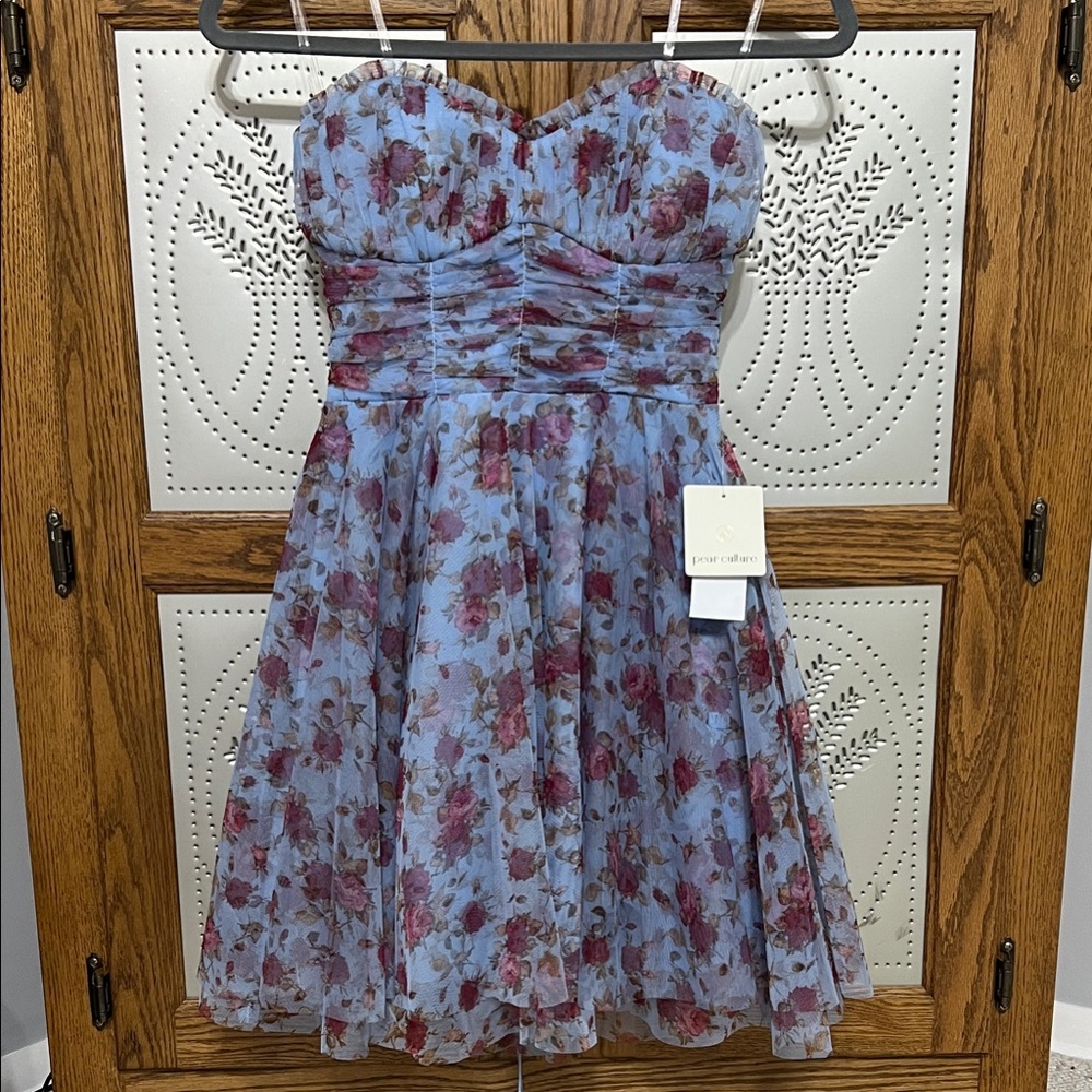 NWT: Pear Culture Floral Printed Mesh Strapless Corset Fit & Flare Dress